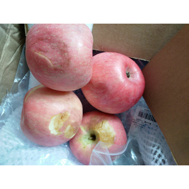 > 【苏宁生鲜】山东蓬莱精品红富士1kg果径80-85mm 苹果 新鲜水果商品