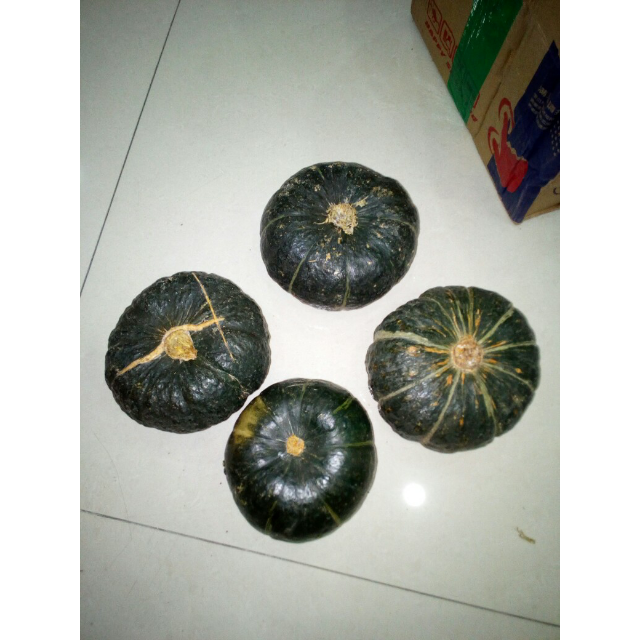 > 沾化馆 贝贝小南瓜 山东头茬南瓜 5斤包邮商品评价 > 今天的南瓜有