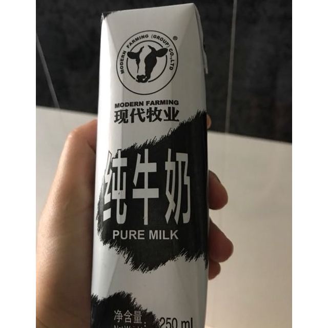 现代牧业自有牧场纯牛奶更健康250ml12盒新鲜的牛奶才是好牛奶