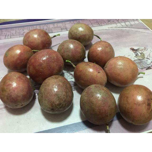 > 【乐拼购】进口精选西柚6个 红心葡萄柚 新鲜水果 坏果包赔 包邮