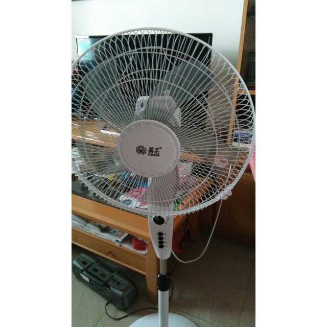 > 菊花电风扇落地扇立式家用风扇学生宿舍摇头电扇 机械款商品评价 >