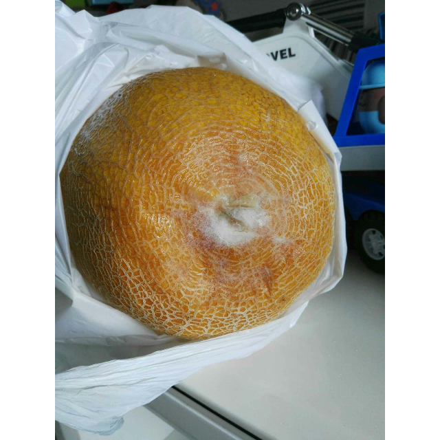 > 【苏宁生鲜】新疆金皇后蜜瓜1个1.
