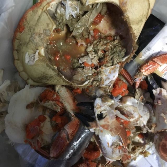 苏宁生鲜英格兰野生熟冻甜蟹1只400600g只海鲜水产