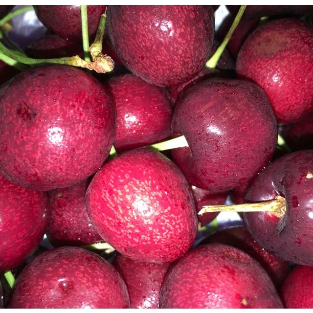 【苏宁生鲜】美国华盛顿樱桃2磅(约908g)果径26-28mm新鲜水果 车厘子