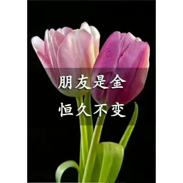 槿之秀可水洗时尚水洗棉花边蕾丝枕芯羽丝绒枕头4874cm单只装湖蓝