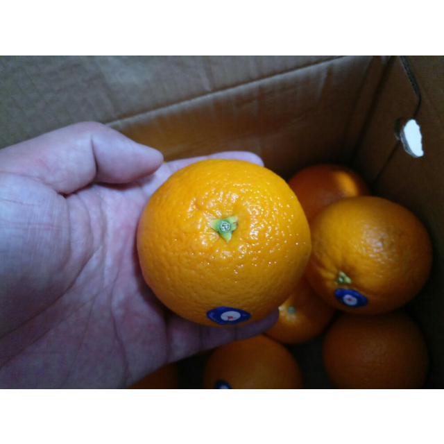 > 【苏宁生鲜】澳大利亚脐橙12个150g以上/个 橙子 新鲜水果商品评价