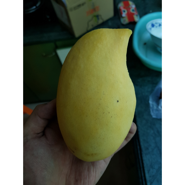 【苏宁生鲜】云南鹰嘴芒果1kg200g以上/个 新鲜水果 国产