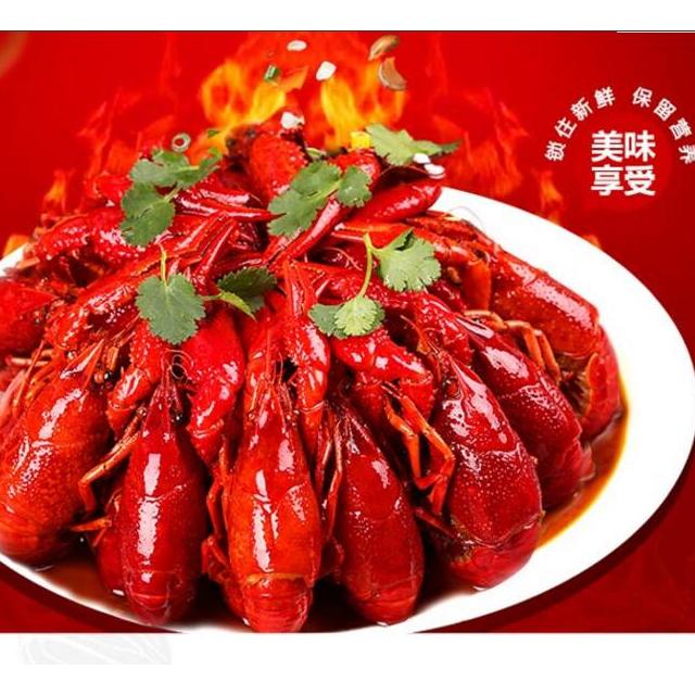 红功夫麻辣小龙虾鲜 麻辣味 活烧制香辣即食口味虾虾熟食7-9钱/只 33-