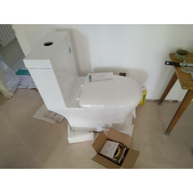 ssww浪鲸卫浴马桶坐便器 喷射虹吸式连体座便节水抗菌 co1065 进口