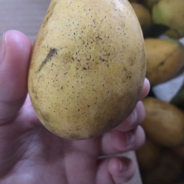 第二件01元台农新鲜小台芒中小果4斤装中果