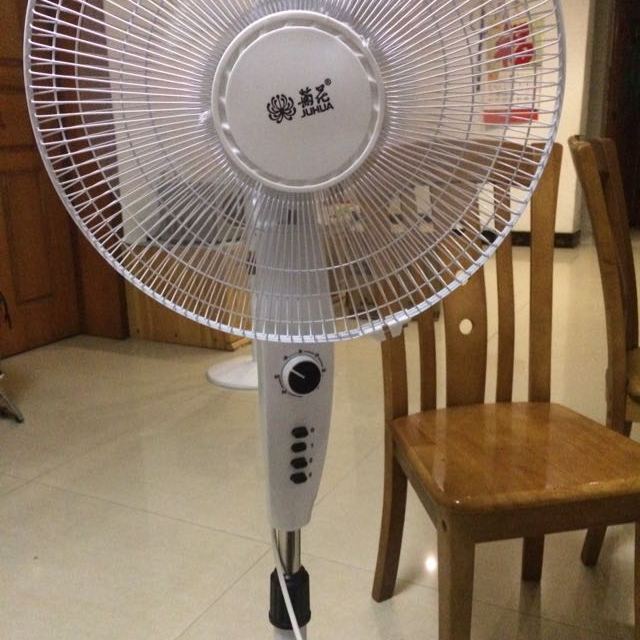 菊花电风扇落地扇立式家用风扇学生宿舍摇头电扇机械款