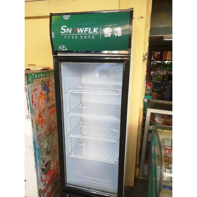 > 雪花(snowflk) lc-238 238升 立式冷柜 冷藏商用展示柜 单门陈列柜