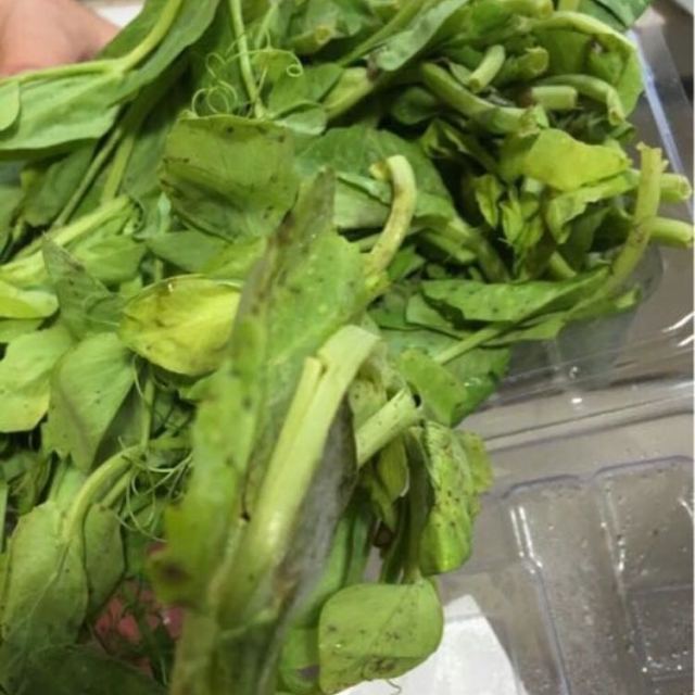 > 【苏宁生鲜】精选豌豆尖250g 蔬菜商品评价 > 黄了长霉了,绿叶菜基.