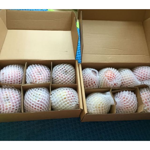 中华特色馆白水馆正宗陕西白水红富士苹果5斤装小苹果