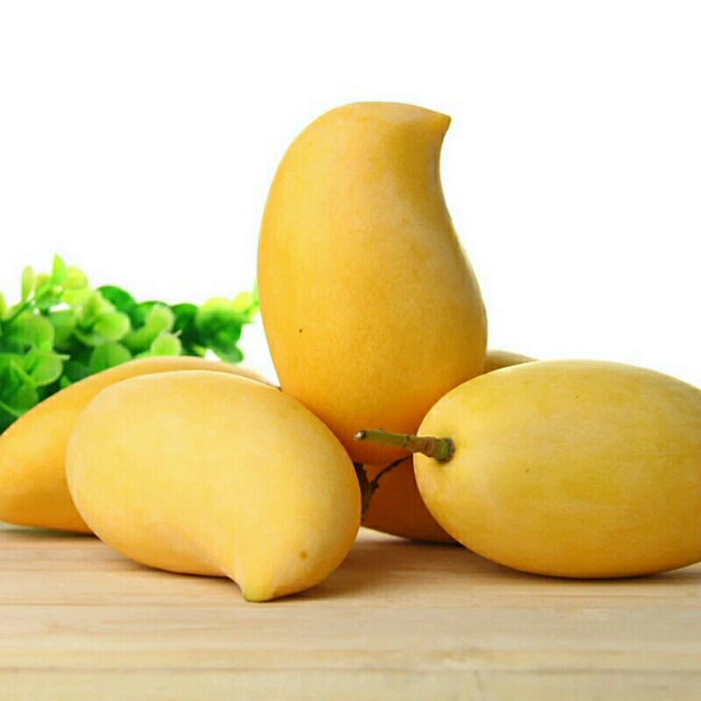 > 【苏宁生鲜】云南鹰嘴芒果1kg200g以上/个 新鲜水果 国产商品评价 >