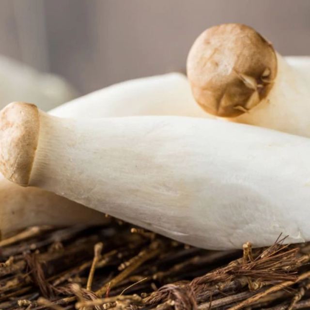 【苏宁生鲜】丽水宝宝杏鲍菇250g 菌菇 蔬菜菌菇类新鲜-苏宁易购