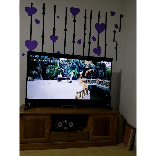 shinco/新科s2900无线话筒专业一拖二麦克风u段电脑电视k歌会议舞台