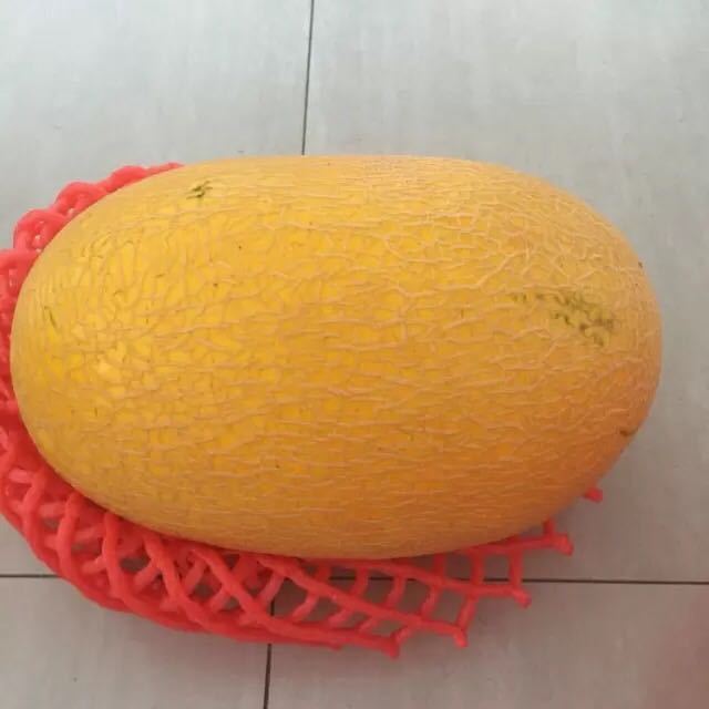 > 【苏宁生鲜】新疆金皇后蜜瓜1个1.9kg以上/个商品评价 > 不太甜.