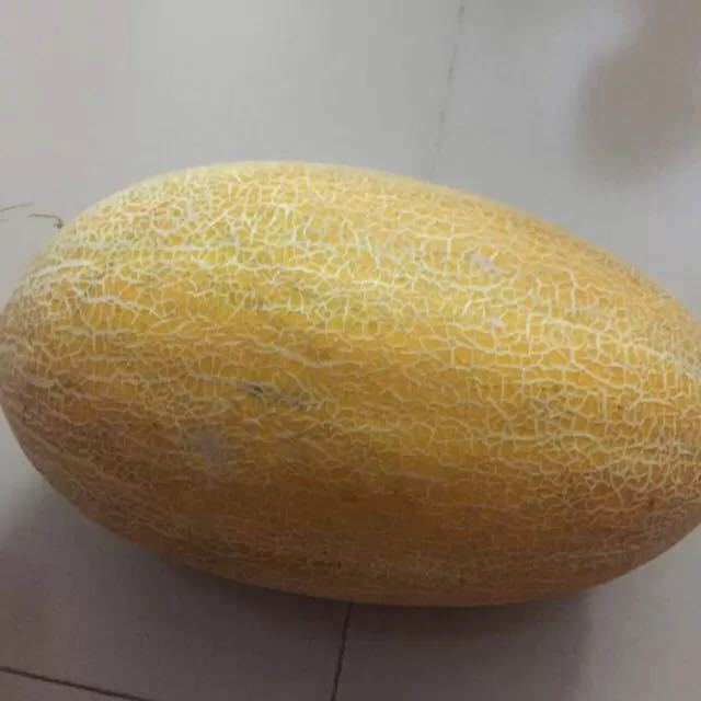 > 【苏宁生鲜】新疆金皇后蜜瓜1个1.9kg以上/个商品评价 > 不太甜.