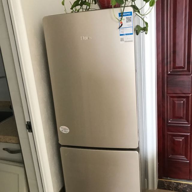 海尔冰箱(haier)bcd-190wdpt 190升双门冰箱 风冷无霜 炫彩金外观