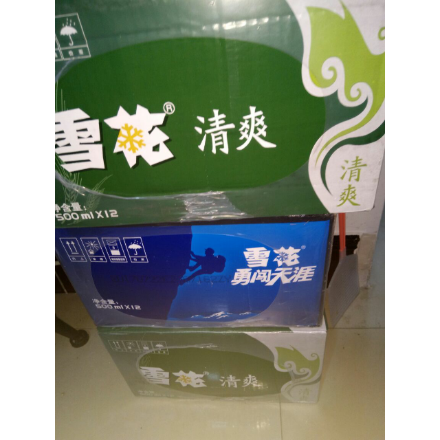 雪花啤酒勇闯天涯500ml12听整箱装