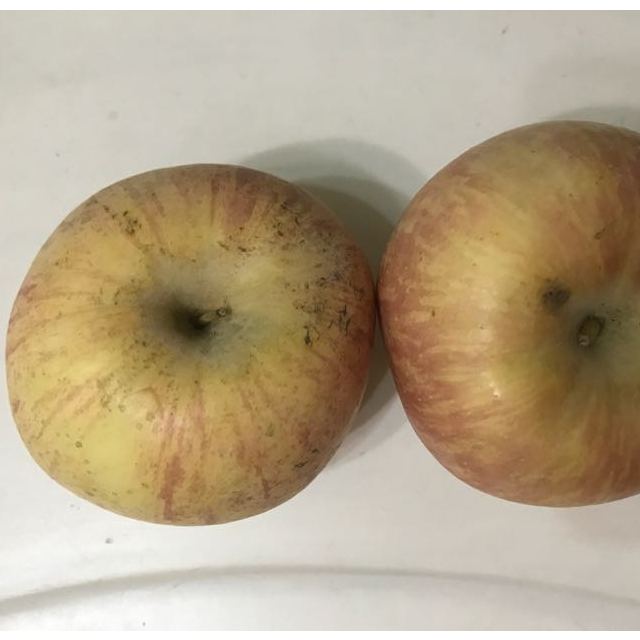 苏宁生鲜山东栖霞精品红富士25kg果径8085mm苹果新鲜水果