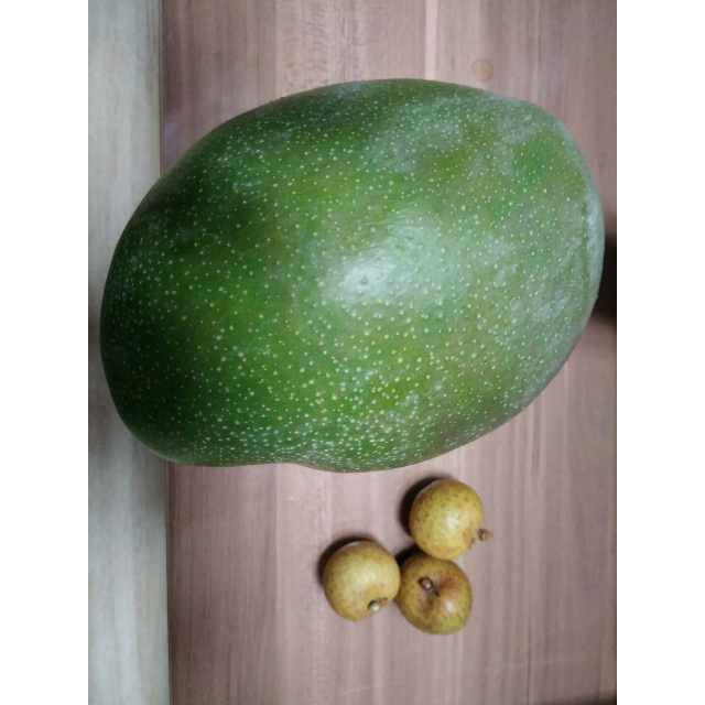> 【苏宁生鲜】四川攀枝花青芒果1个750g以上/个 新鲜水果商品评价 >