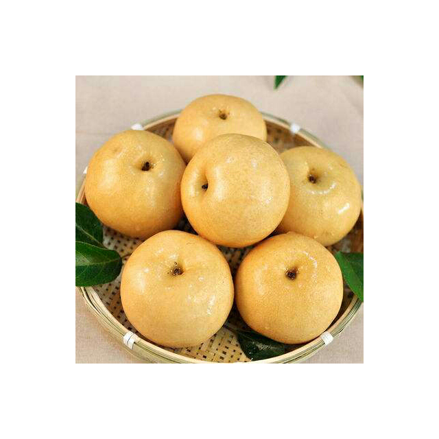 > 【苏宁生鲜】河北丰水梨6个200g以上/个新鲜水果商品评价 > 很新鲜