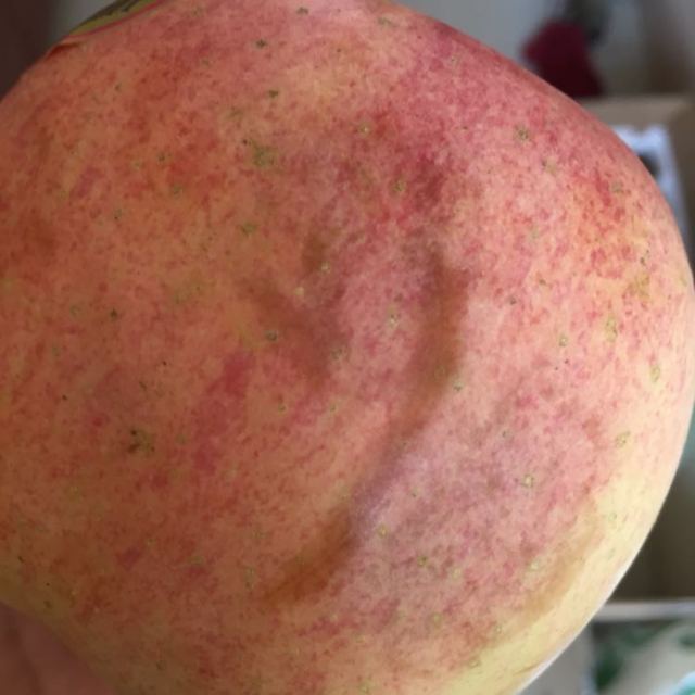 > 【苏宁生鲜】山东蓬莱精品红富士1kg果径80-85mm 苹果 新鲜水果商品