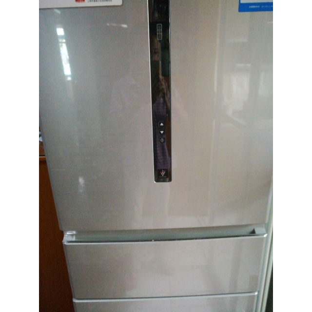 夏普冰箱bcd-251wvp-n