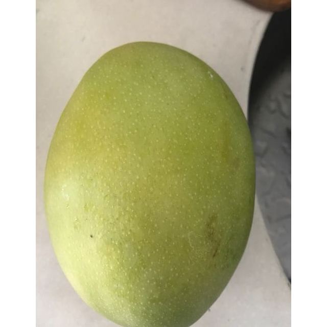 苏宁生鲜四川攀枝花青芒果1个750g以上个新鲜水果