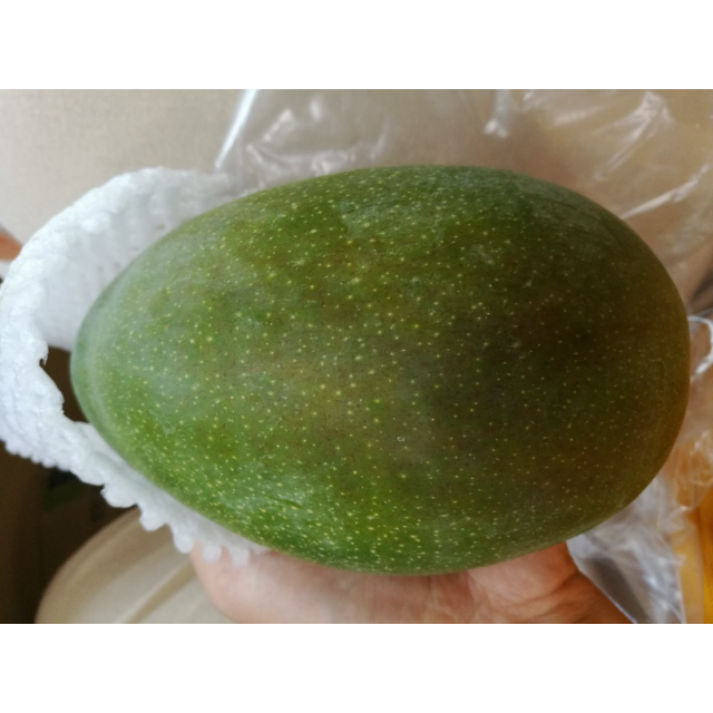 > 【苏宁生鲜】四川攀枝花青芒果1个750g以上/个 新鲜水果商品评价 >