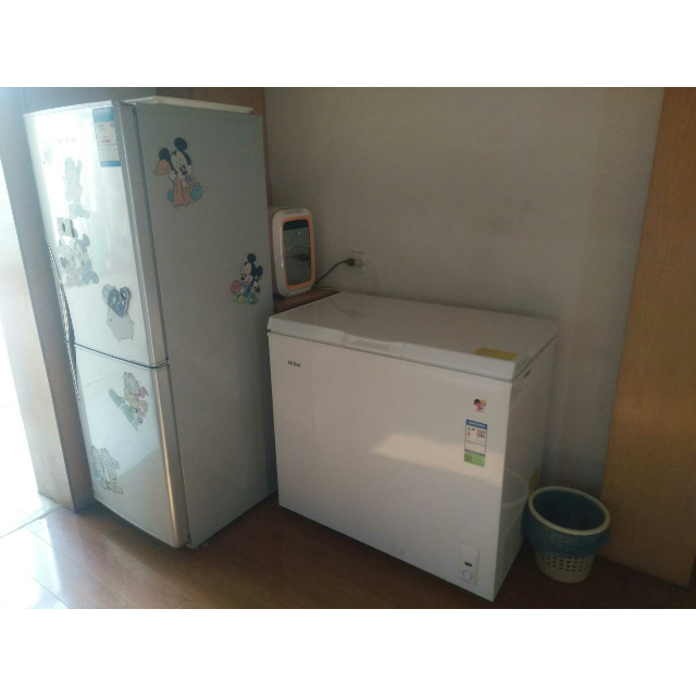 海尔(haier)bc/bd-201hza 201升家用冰柜 冷藏冷冻转换柜顶开门 冷柜