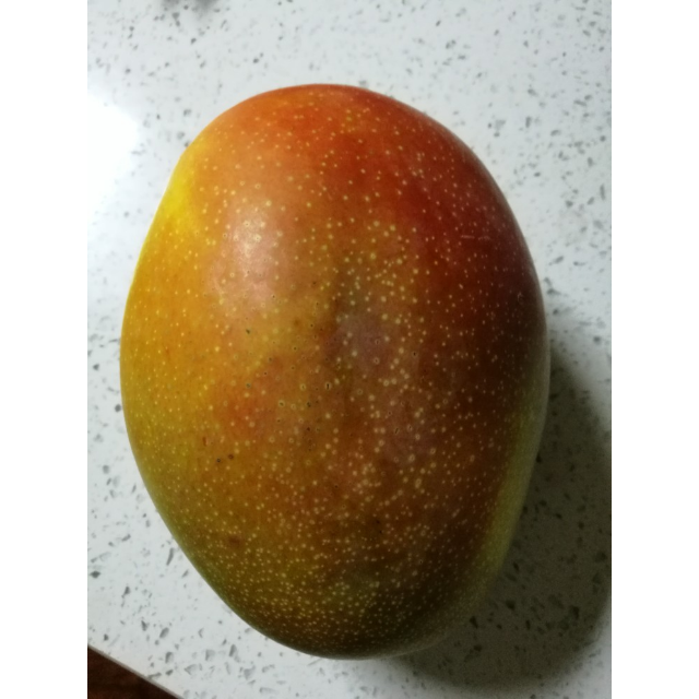 苏宁生鲜四川攀枝花青芒果1个750g以上个新鲜水果