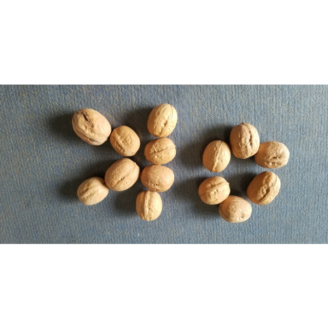 熊猫果缘 2017 新核桃 薄皮核桃 210g*4 袋装 共 840 克 原味 坚果