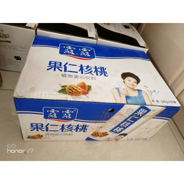 露露果仁核桃露245g20罐露露植物蛋白饮料