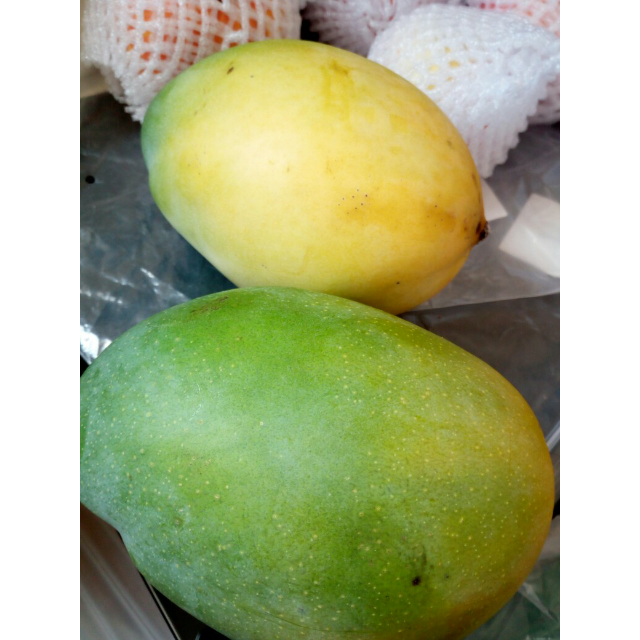 > 【苏宁生鲜】四川攀枝花青芒果1个750g以上/个 新鲜水果商品评价 >