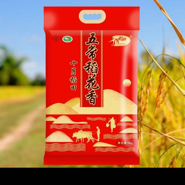 東北大米 雜糧伴侶 熬粥 煮粥 米飯 五常稻花香高清大圖|實物圖