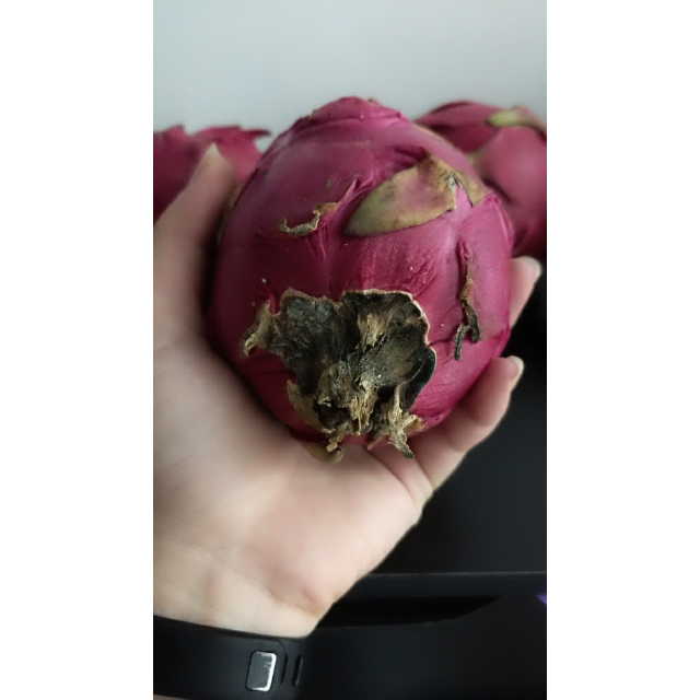 > 【苏宁生鲜】海南蜜宝红心火龙果1kg(中果)250