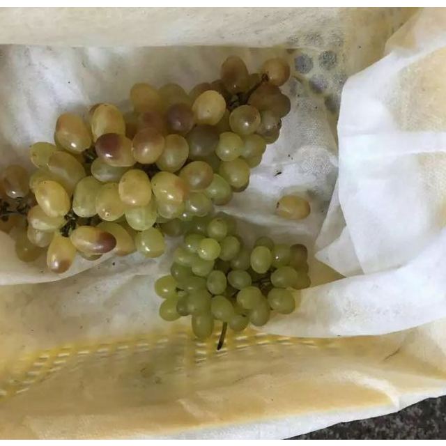 > 【苏宁生鲜】新疆无核白葡萄1kg 新鲜水果 国产商品评价 > 坏了很多