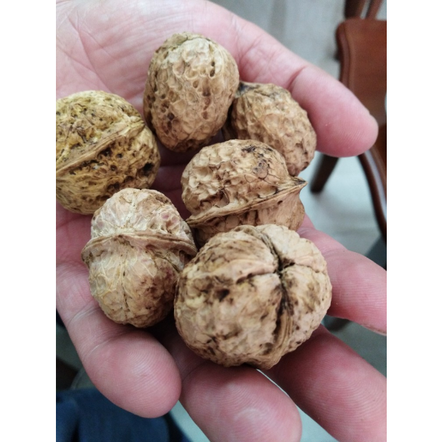 > 【中华特色馆】漾濞馆 云南漾濞大泡薄皮山核桃原味干果500g商品