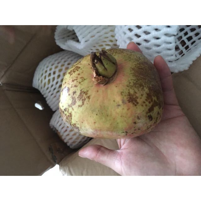 1元】米又 新鲜石榴 薄皮多汁 云南 石榴 4斤装商品评价 > 走了这么多