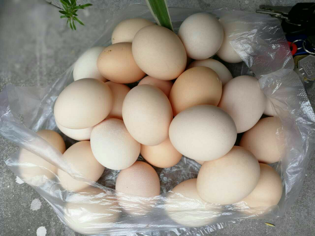 散养农家柴鸡蛋30枚