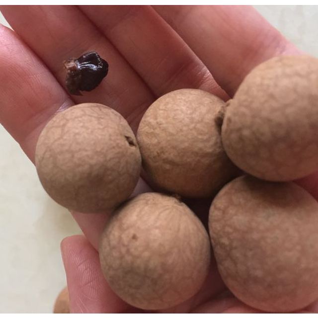 禾煜小核桂圆500g袋莆田特产桂圆干南北干货禾煜出品