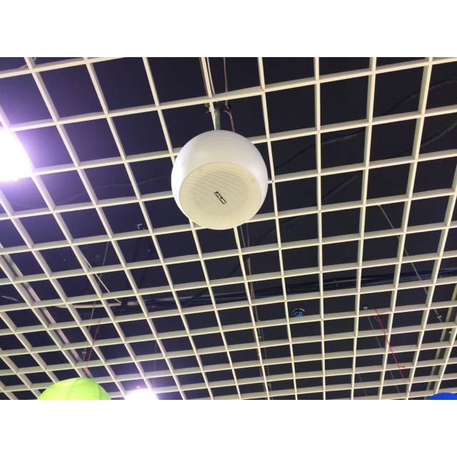 天花喇叭吊顶音响定压吸顶喇叭背景音乐公共广播会议 球型喇叭(5015