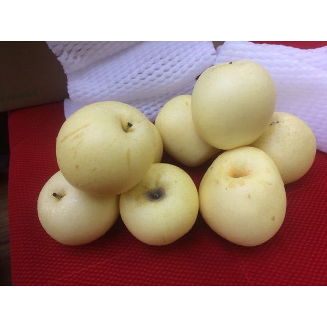 > 【苏宁生鲜】河北皇冠梨8个约200g/个商品评价 > 水份足,秋天吃这个