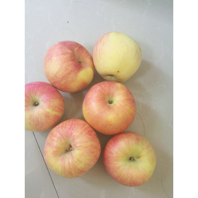 中华特色馆白水馆正宗陕西白水红富士苹果5斤装小苹果