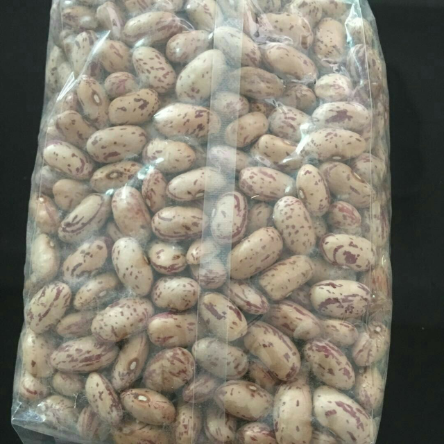 东北芸豆饭豆子非转基因500g一件包邮