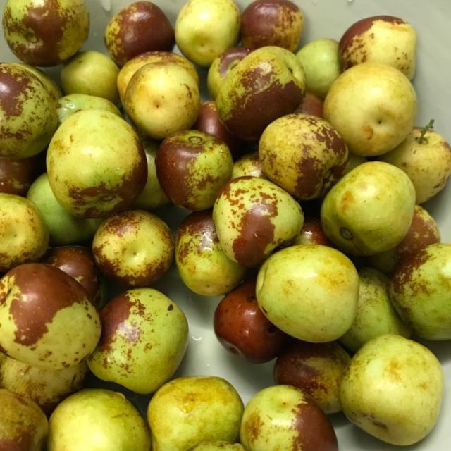 水果 山东特产大枣2斤装包邮国产水果枣子一点都不甜,木枣-苏宁易购