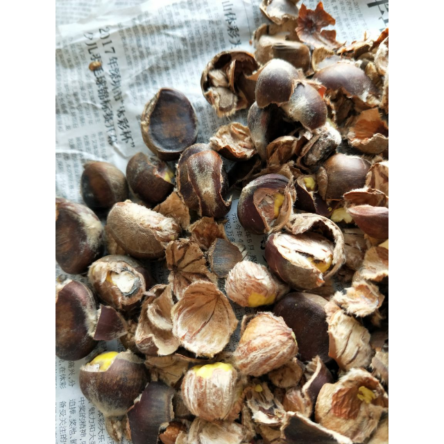【罗田馆】罗田板栗 5斤装 新鲜水果 产地直发【中华特色馆】坚果个头